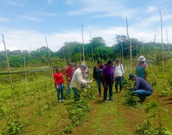ML | Recorrido en las fincas.