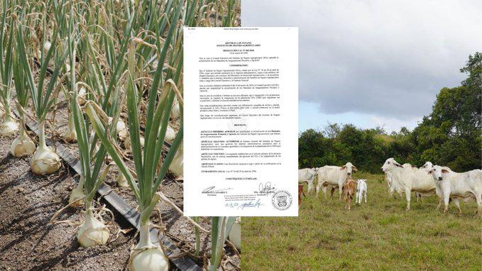 Publican en Gaceta los nuevos manuales para asegurar la producción agrícola y pecuaria