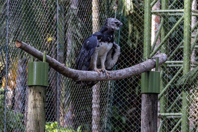 Cortesía | Alcaldía de Panamá.