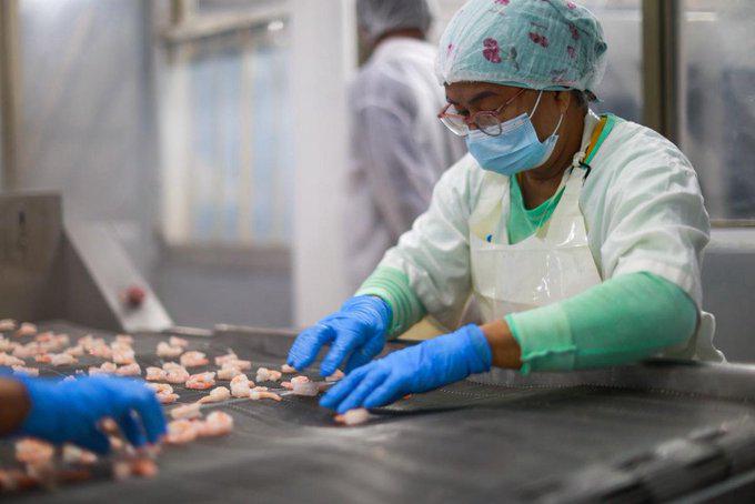 Duty Free del 9 de febrero de 2026