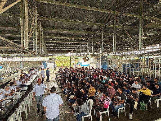 Al menos 5 mil bocatoreños buscan trabajo en empresa bananera