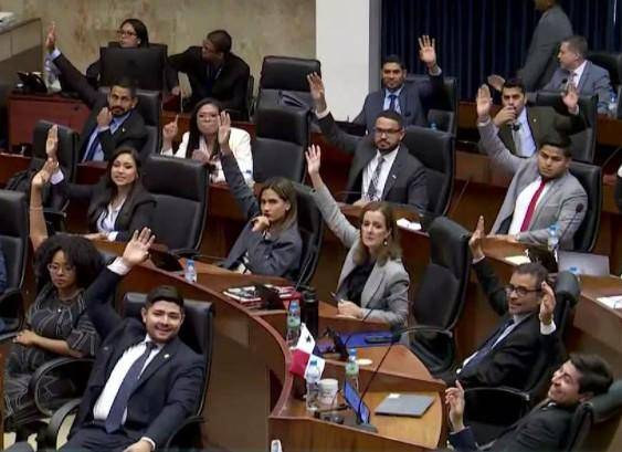 Cortesía | Diputados de VAMOS en una votación en el pleno de Asamblea Nacional.