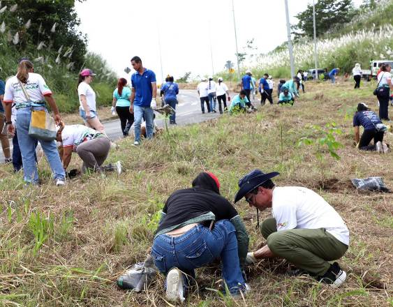 Cortesía | Voluntarios y personal de la Alcaldía de Panamá reforestando.