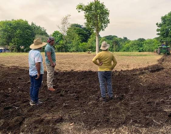 Emergencia por El Niño contempla recursos para el agro