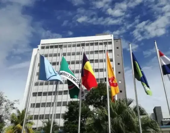 ML | Banderas de los partidos políticos.