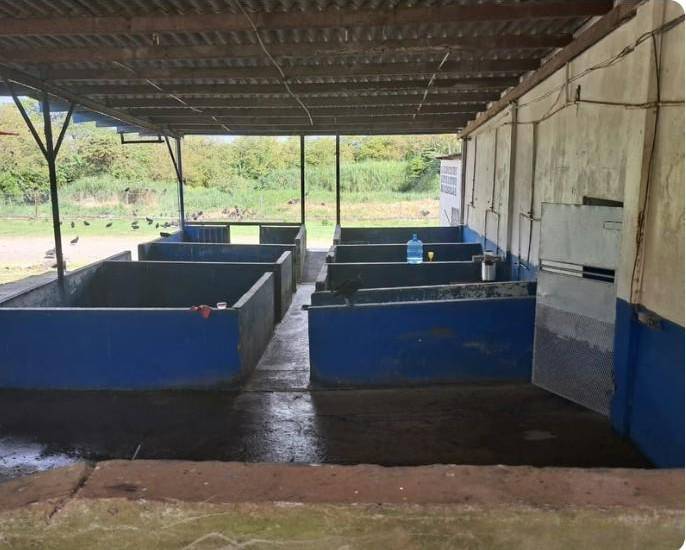 Matadero de Colón sigue cerrado y sin presupuesto de concesión