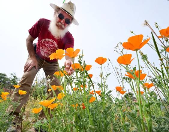 (Photo by Frederic J. BROWN / AFP)