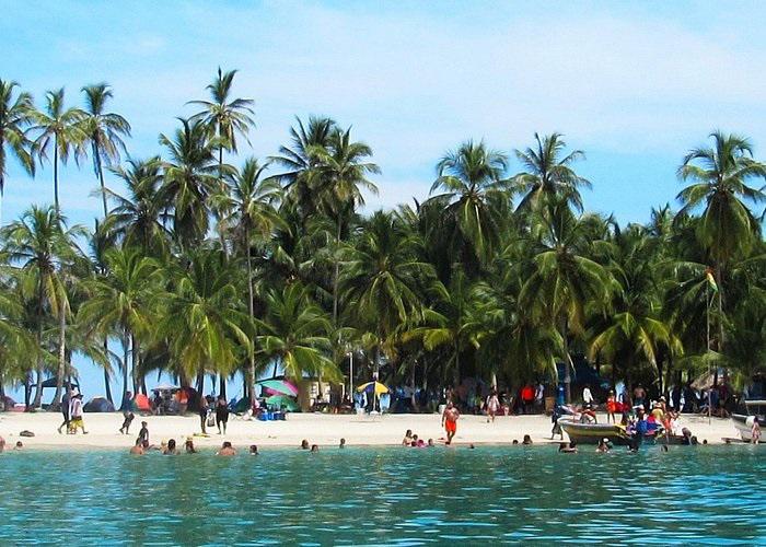 Tejemeneje del 29 de noviembre de 2023