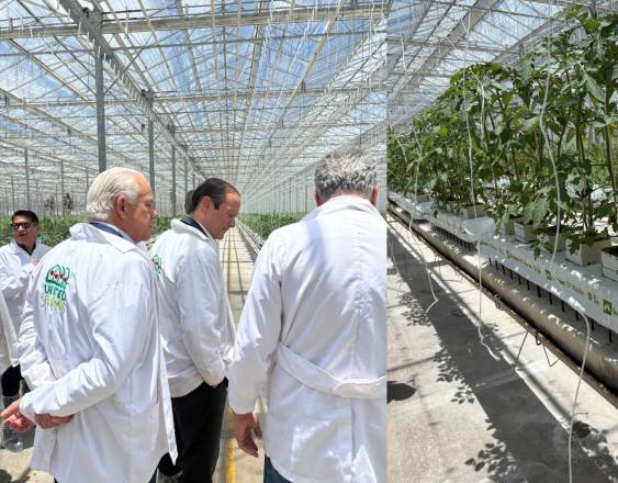 ML | Vistas de los ministros Linares y Martínez -Acha durante la visita al clúster.