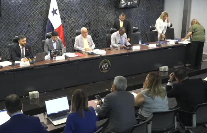 Ombudsman culmina su cargo mientras se elige a su sucesor