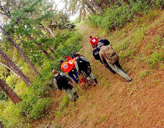 ML | Búsqueda de adulto mayor desaparecido en Cerro Azul.