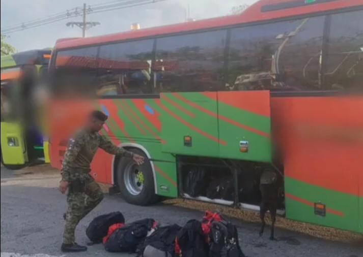 Decomisan siete paquetes con droga en un bus que transportaba migrantes hacia Costa Rica