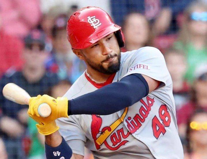 Panameños en la gran carpa