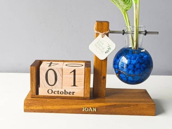 Hidroterrarios, emprendimiento creativo con recuerdos que florecen en el agua