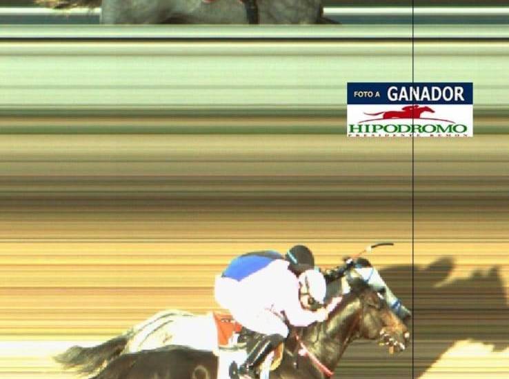 Réplica por nota hípica