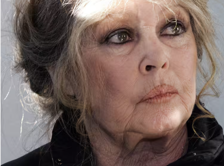 Se subastarán en París cerca de 300 objetos personales de Brigitte Bardot