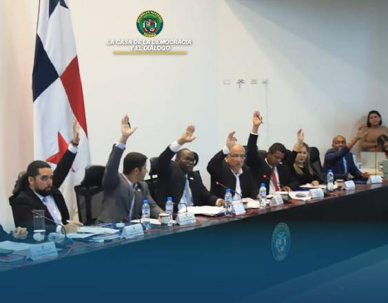 ML | Durante la votación en la comisión.