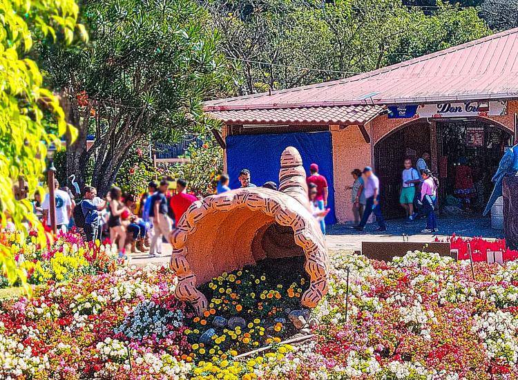 EDITORIAL : Las ferias del verano