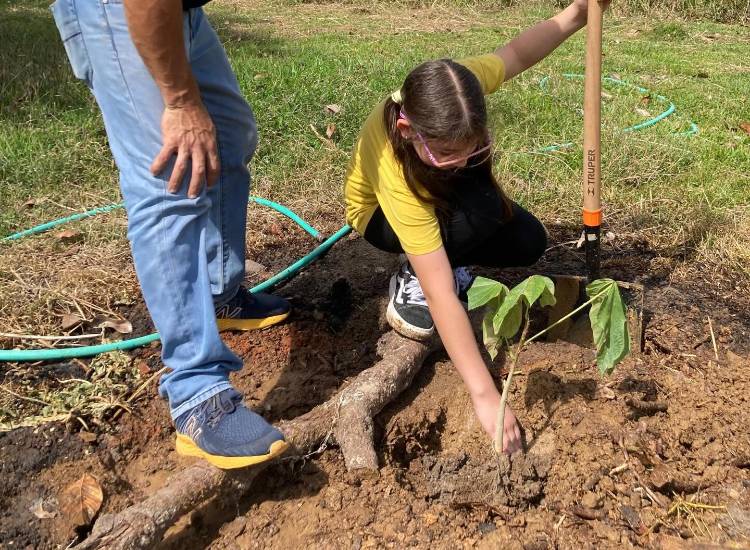 Entre vacas, cafetales, cerros y bosques vive el agroturismo