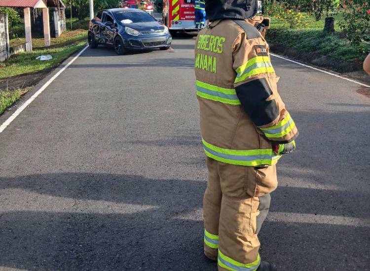 Bomberos reportan 94 incendios de masa vegetal en lo que va del 2026