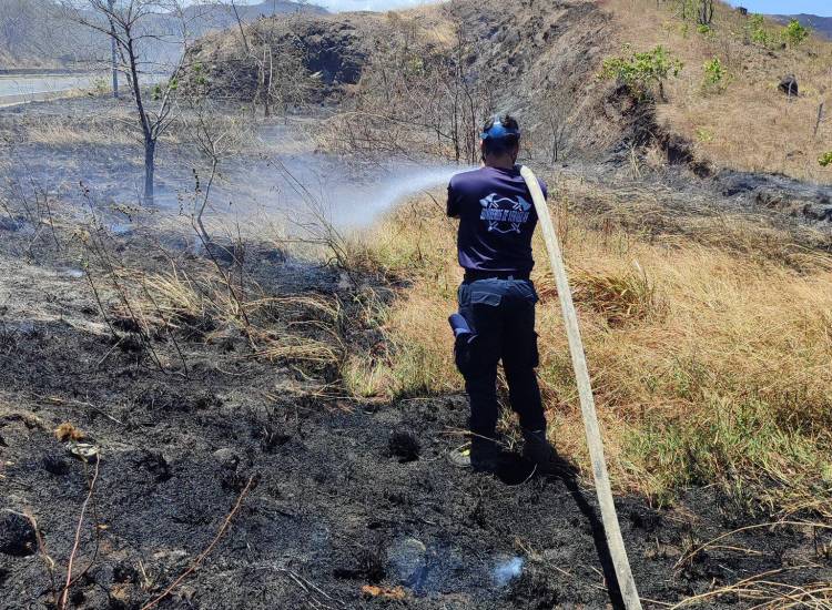 Bomberos reportan un incremento “alarmante” de incendios de masa vegetal durante el 2026