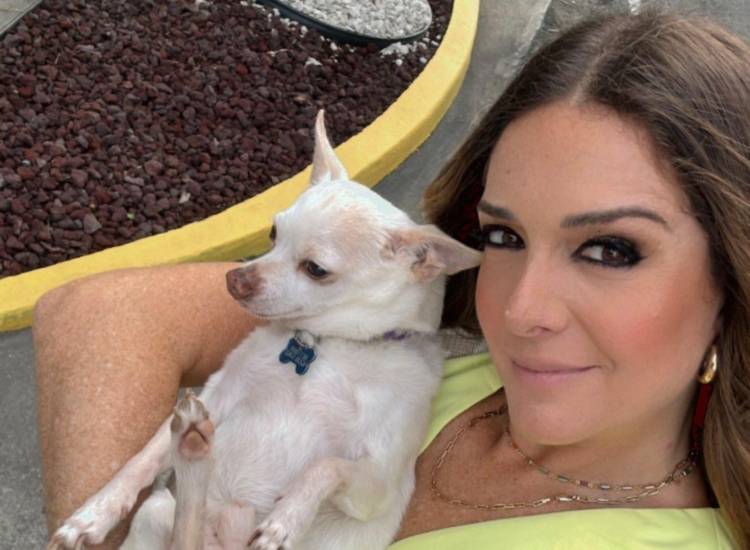 La compañía de una mascota deja una huella en el bienestar emocional