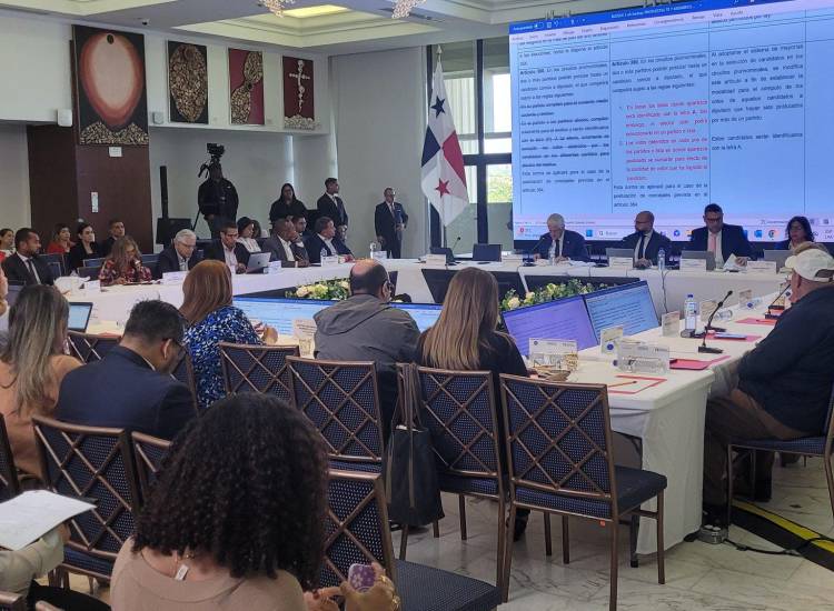 La Comisión de Reformas Electorales analiza el voto en circuitos plurinominales