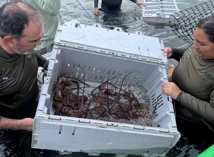 Destrucción y desorden ambiental obligan al cierre temporal del área protegida Isla Escudo