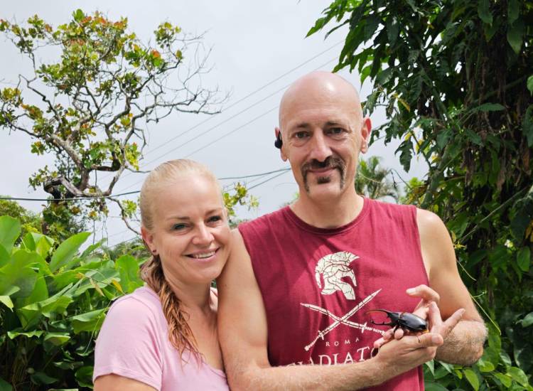 La casa de las mil mariposas