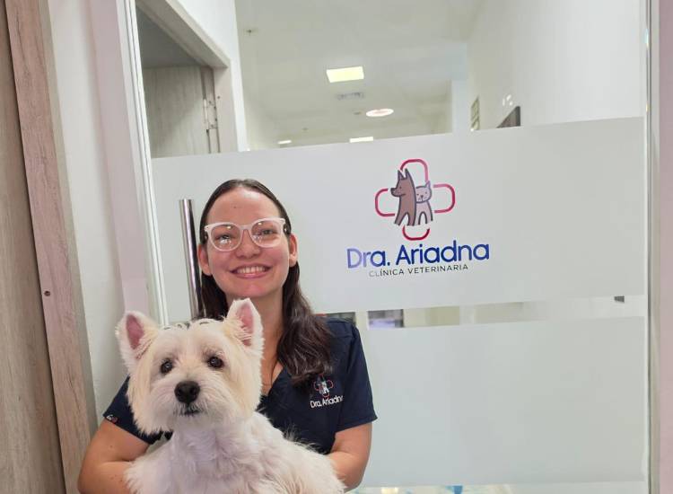 Las mascotas también sufrieron con el terremoto y las réplicas