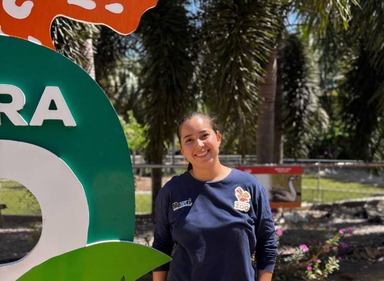 Las mascotas también sufrieron con el terremoto y las réplicas