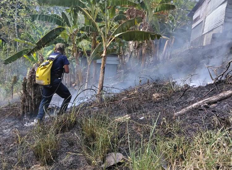 Bomberos mantienen la alerta por incendios de masa vegetal
