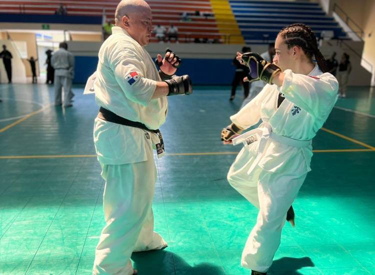 Medio siglo de Kyokushin