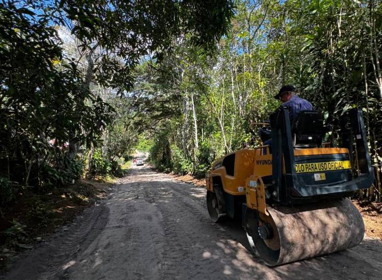 En Renacimiento se trabaja en los caminos de producción