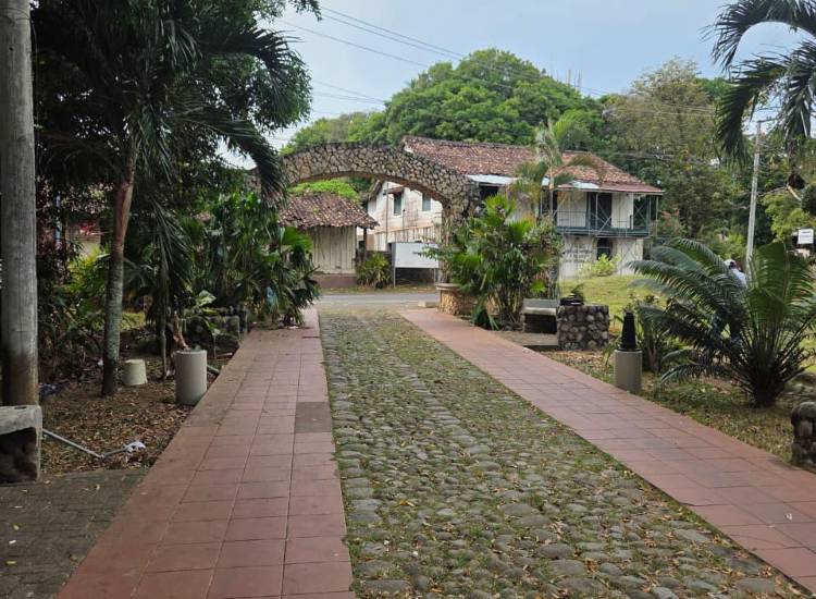 Tejemeneje del 23 de febrero de 2026