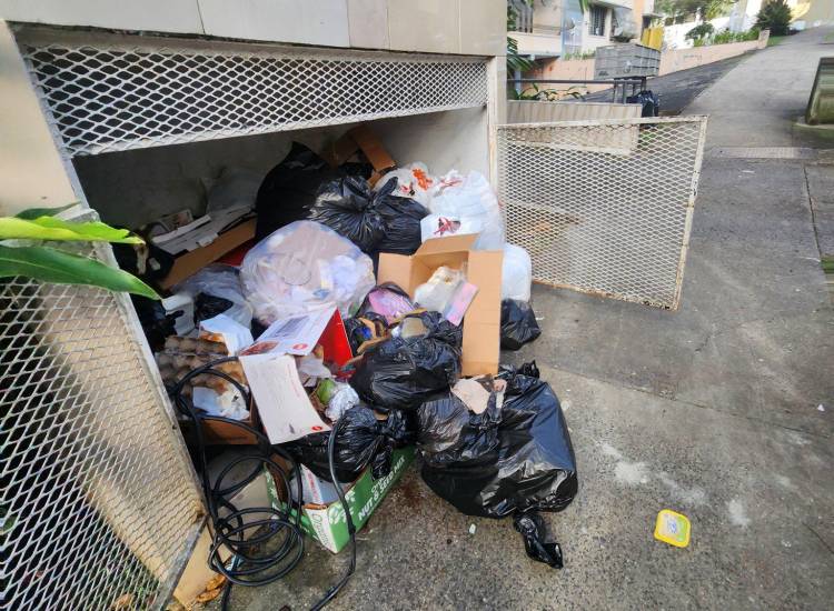 Persiste la poca frecuencia en la recolección de la basura