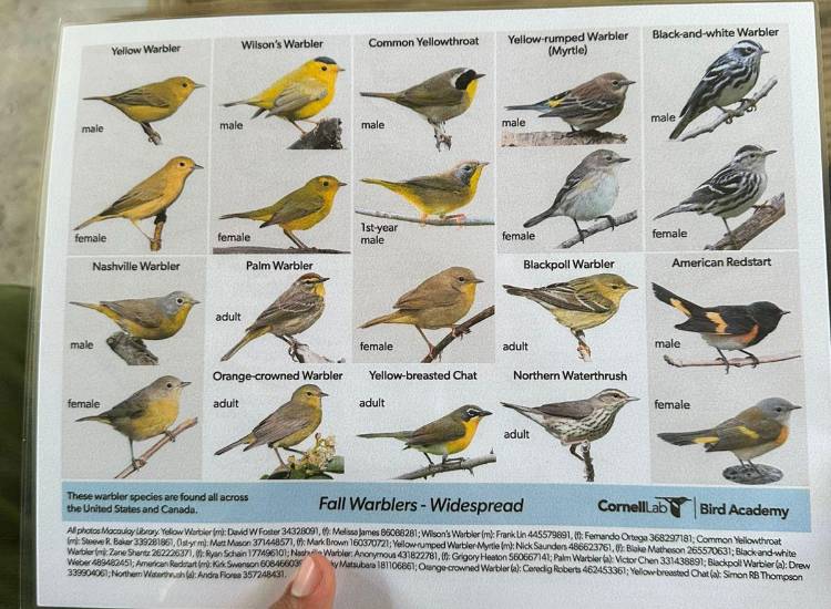 Capacitan guardaparques en el uso de herramientas para el monitoreo de aves