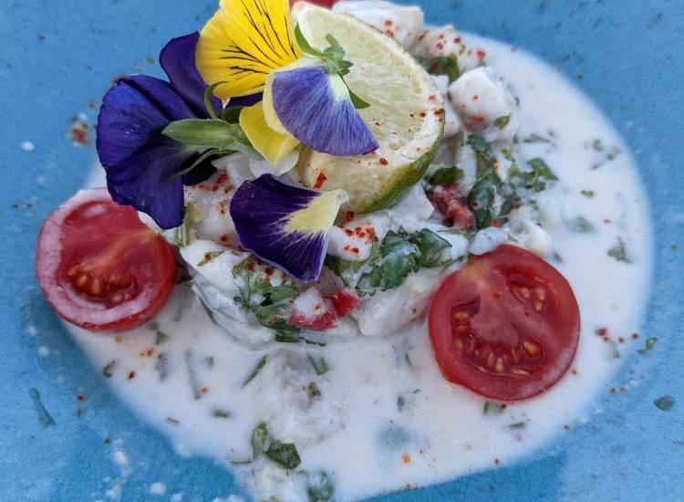 Lanzamiento “Ceviche Libre de Tiburón”