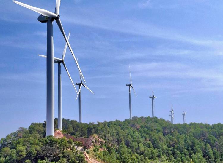 Coclé necesita inversiones en agro y turismo