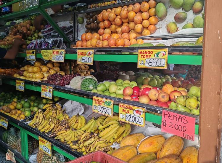 Candelaria celebra 480 años