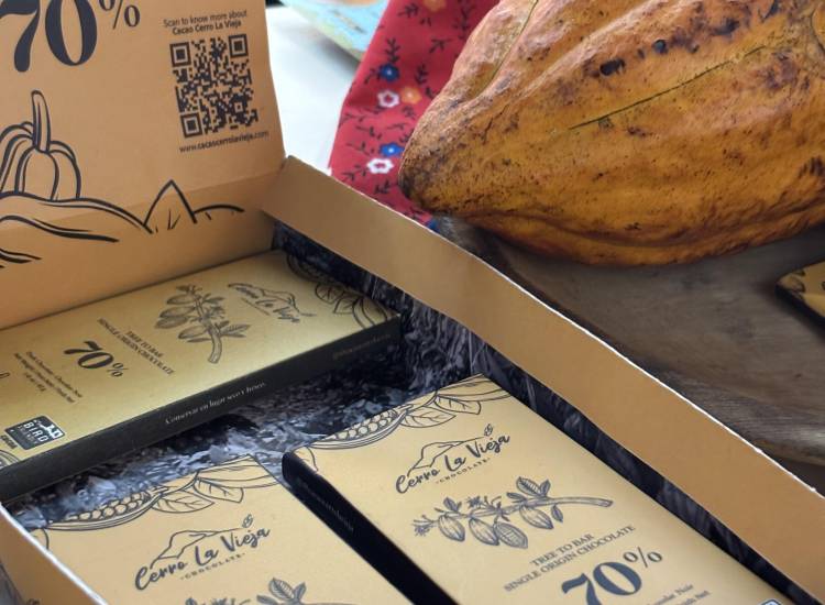 Cacao de Coclé que protege a las aves