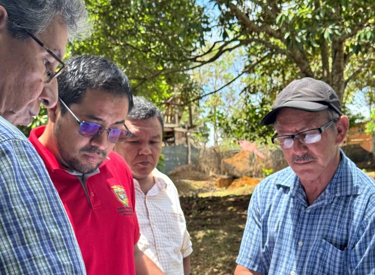 En Renacimiento se trabaja en los caminos de producción