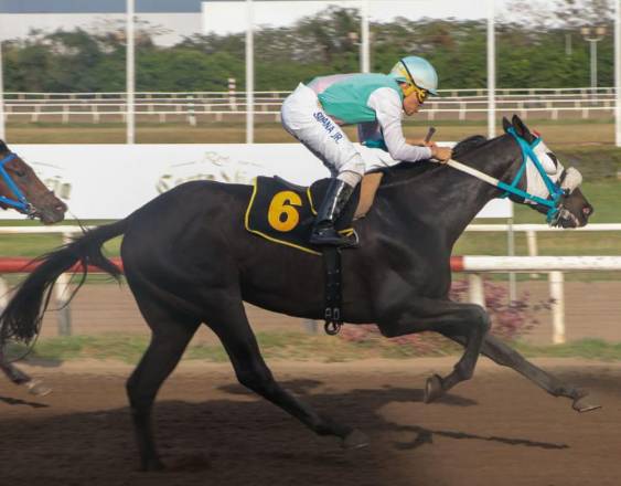 Foto Cortesía | Sol Abuelo Carlos pasando de largo en la sexta dominical con la conducción de Ariosto Delgado.