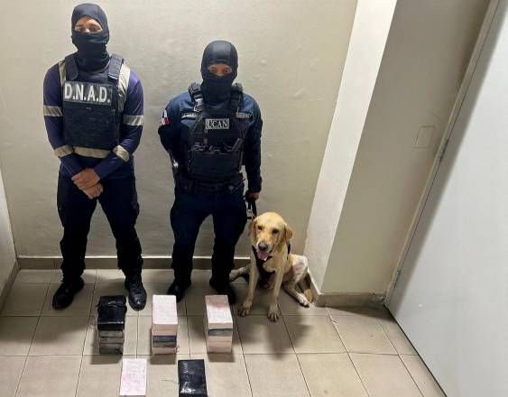 Encuentran presunta droga en un puerto del Atlántico