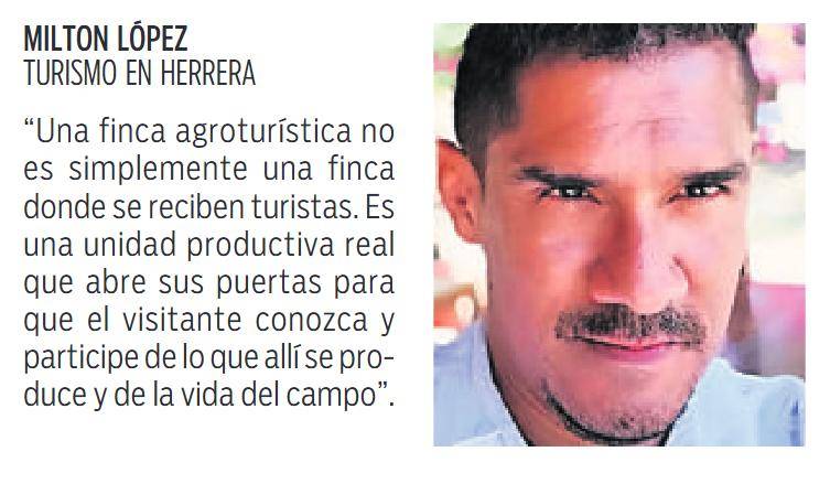 $!Entre vacas, cafetales, cerros y bosques vive el agroturismo