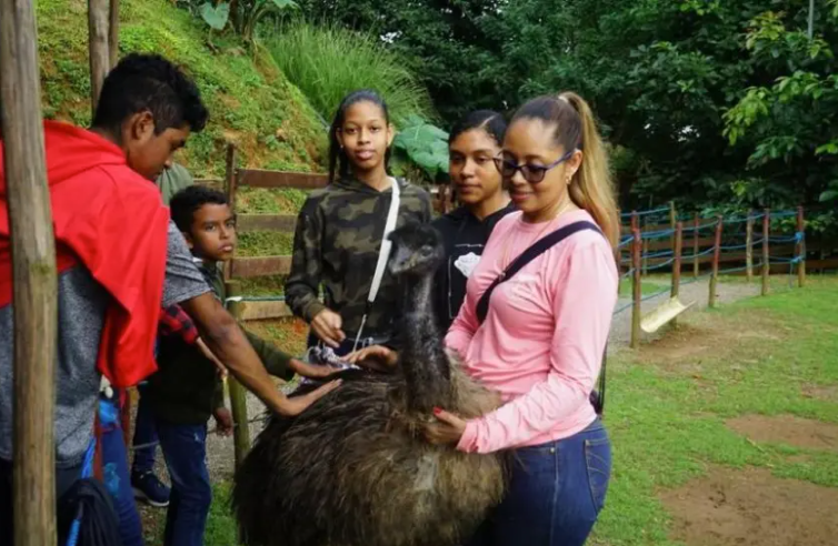 Las fincas agroturísticas integran educación, diversión y naturaleza