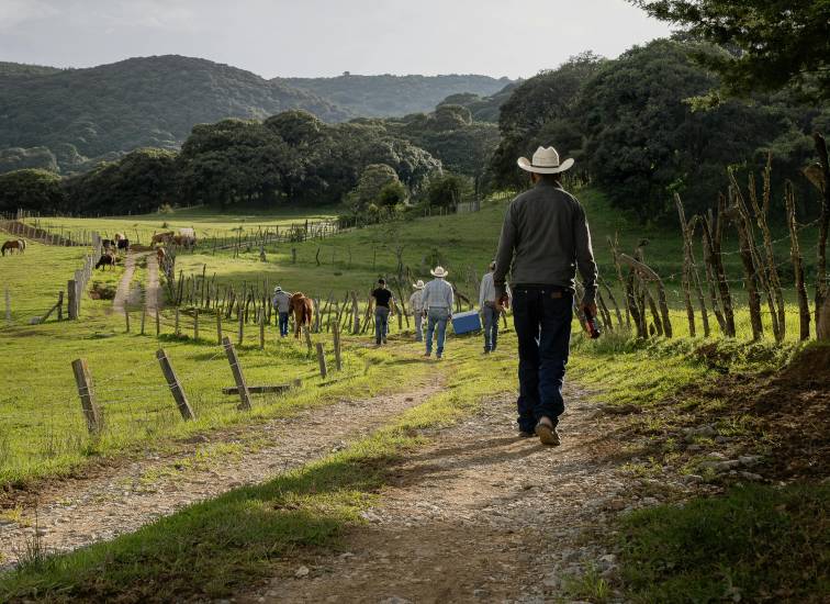 Agro, puertos y facilidad de inversión, claves en Chiriquí