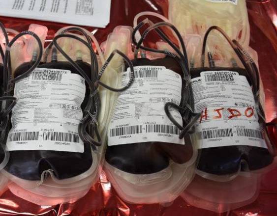 ML | Pintas de sangre donadas.
