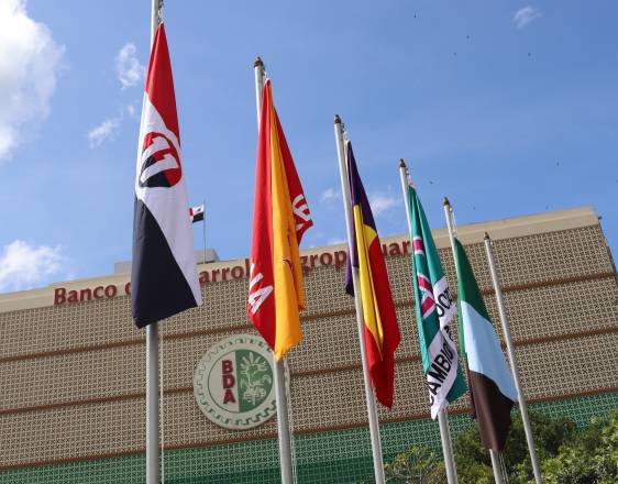 ML | Las banderas de algunos partidos políticos en la Asamblea Nacional.