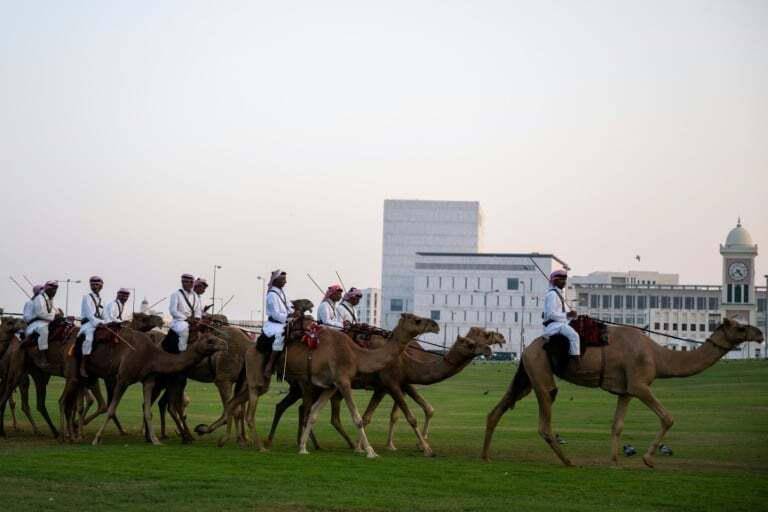 En Catar, las carreras de dromedarios interesan más que el fútbol